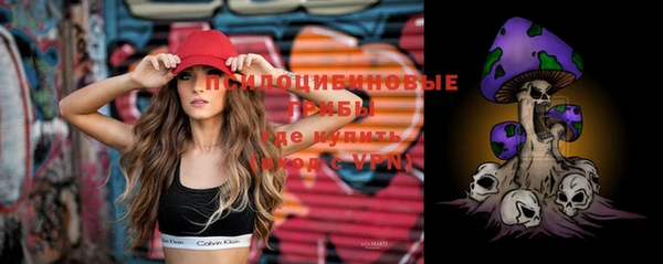 дмт Кулебаки